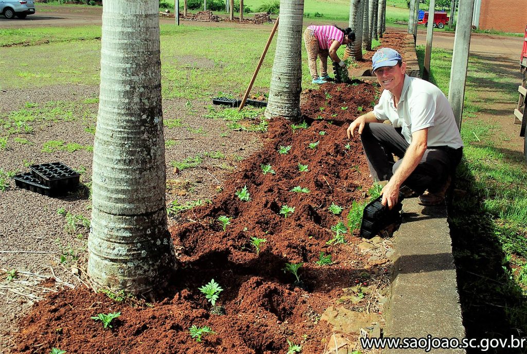 Plantio de flores nas proximidades do Ginásio Valmei Ertel