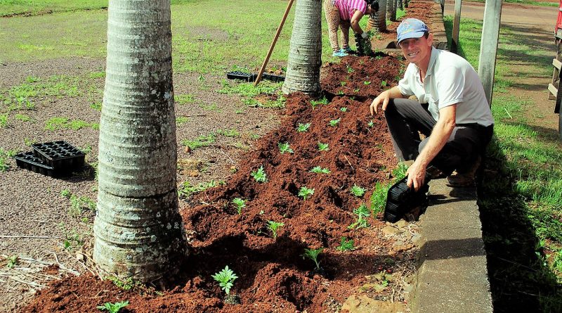 Plantio de flores nas proximidades do Ginásio Valmei Ertel